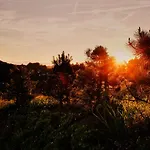Station touristique Loisium Wine & Suedsteiermark Ehrenhausen