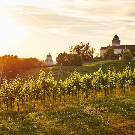 Loisium Wine&spa Südsteiermark Resort