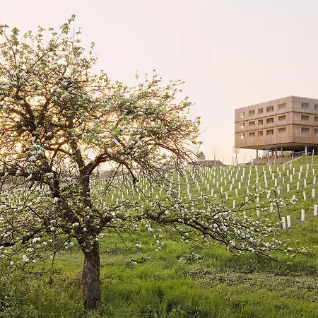 Loisium Wine & Suedsteiermark Feriested
