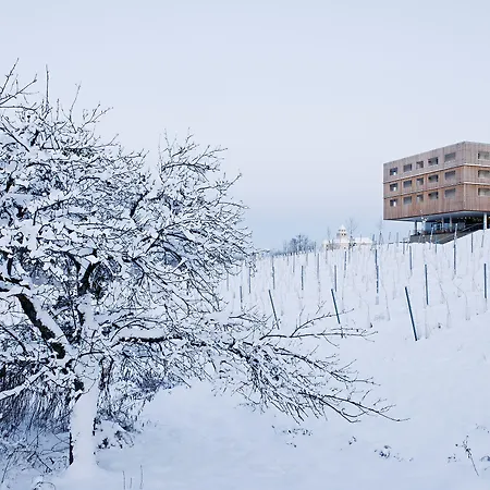 Loisium Wine & Suedsteiermark Resort Ehrenhausen