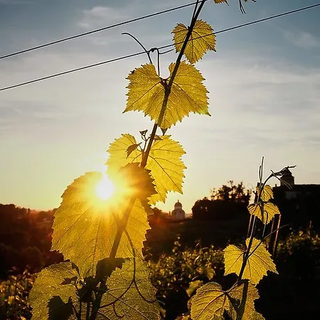 Loisium Wine&spa Südsteiermark
