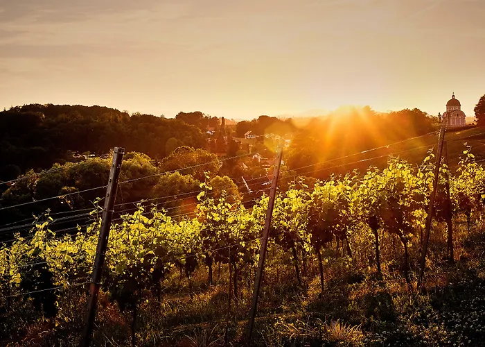 منتجع Loisium Wine & Suedsteiermark إيهرينهاوزين