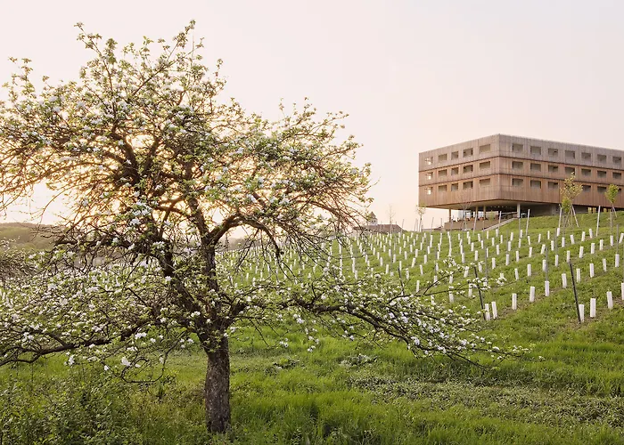 Loisium Wine & Suedsteiermark منتجع