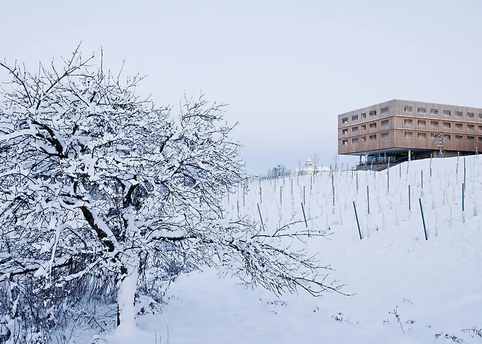 Loisium Wine & Suedsteiermark Rezort Ehrenhausen