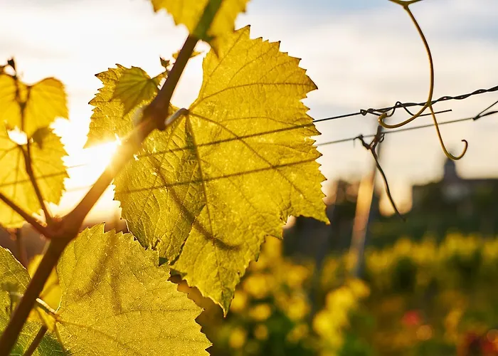 Loisium Wine & Suedsteiermark Rezort Ehrenhausen