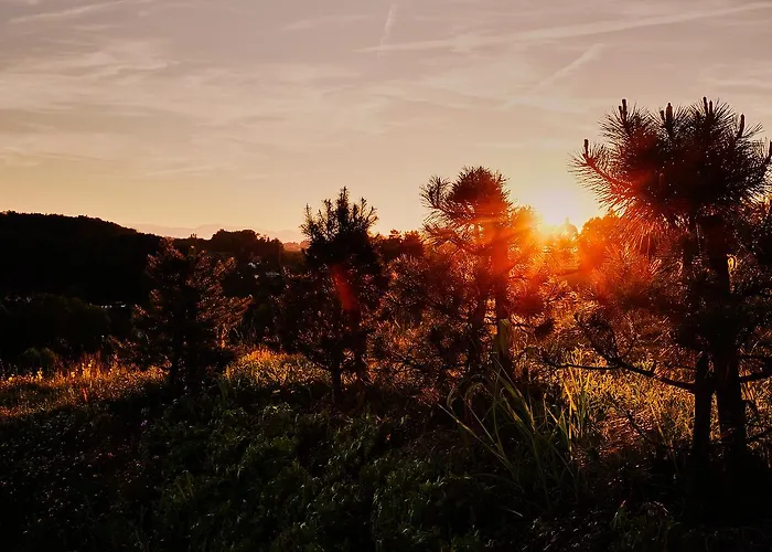 Rezort Loisium Wine & Suedsteiermark Ehrenhausen